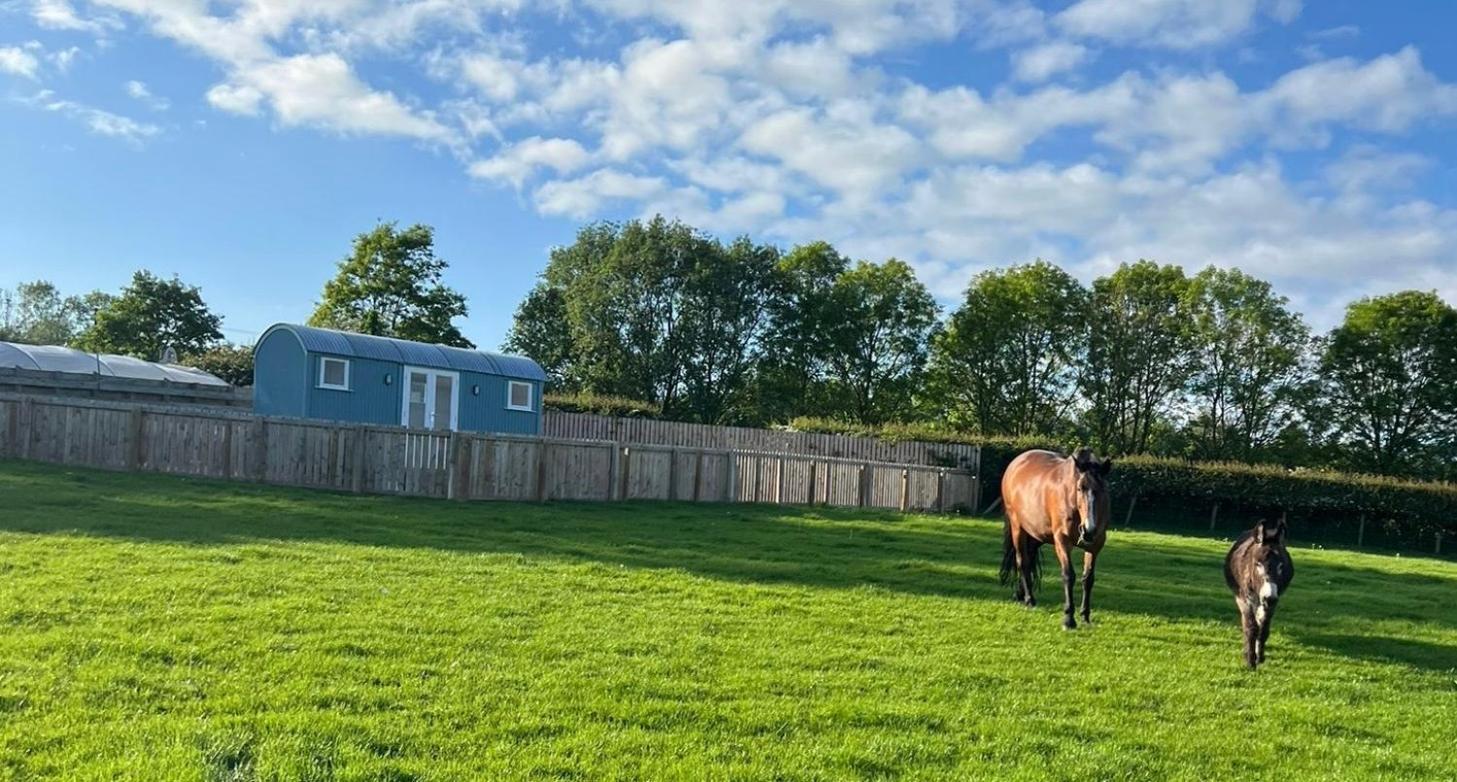 Wee Shepherds Hut Maybole المظهر الخارجي الصورة